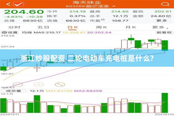 浙江炒股配资 二轮电动车充电桩是什么?