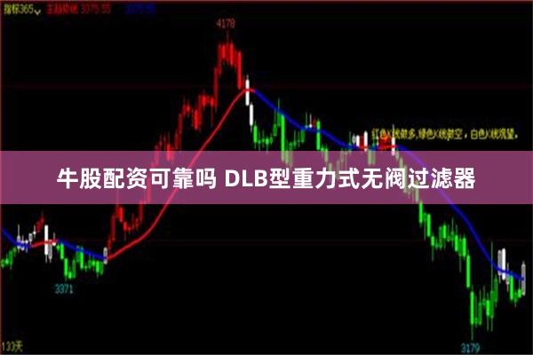 牛股配资可靠吗 DLB型重力式无阀过滤器