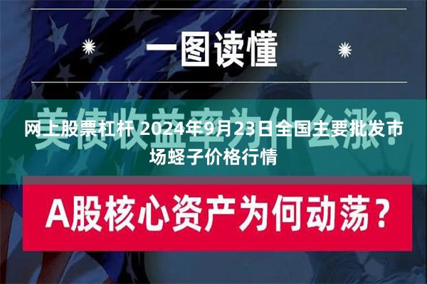 网上股票杠杆 2024年9月23日全国主要批发市场蛏子价格行情