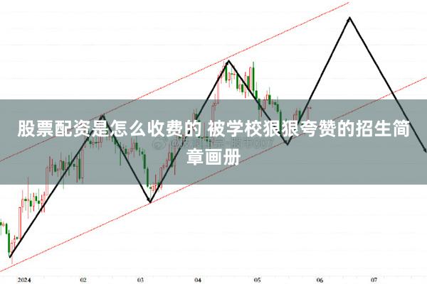 股票配资是怎么收费的 被学校狠狠夸赞的招生简章画册