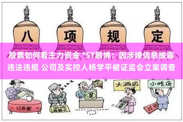 股票如何看主力资金 *ST鹏博：因涉嫌信息披露违法违规 公司及实控人杨学平被证监会立案调查