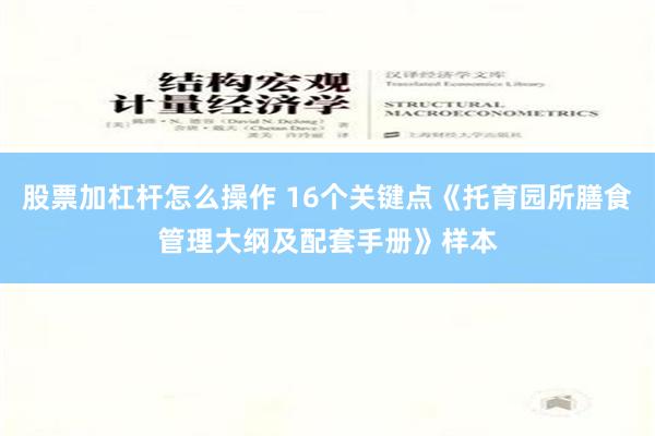 股票加杠杆怎么操作 16个关键点《托育园所膳食管理大纲及配套手册》样本